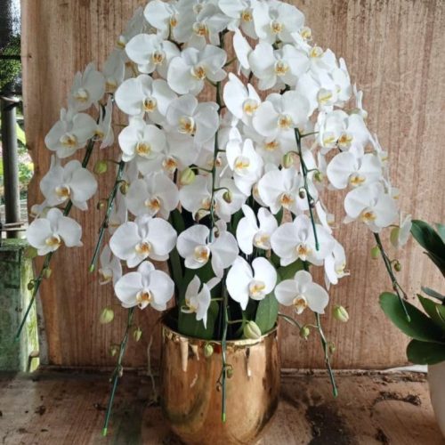 standing flowers (4)